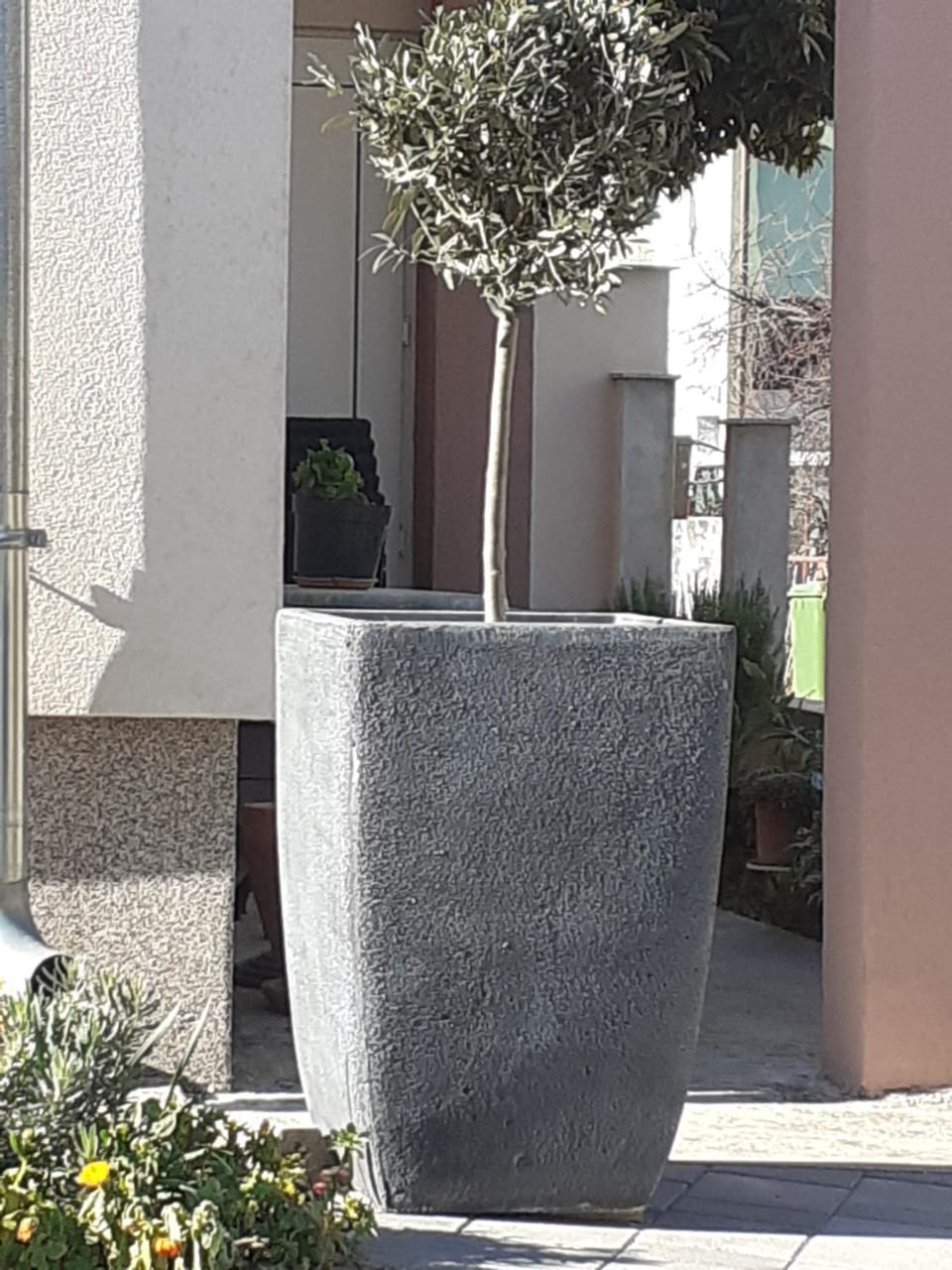 Facade/entrance