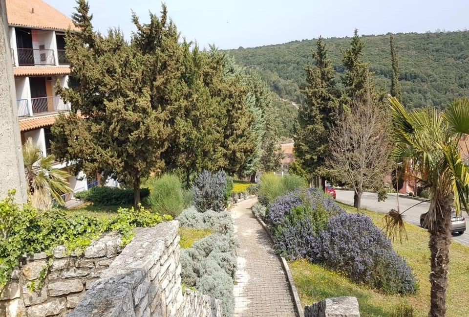 Neighbourhood, Garden view, Mountain view