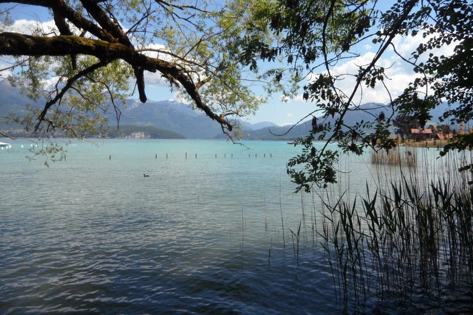 Les Fougères Bed and Breakfast in Sévrier