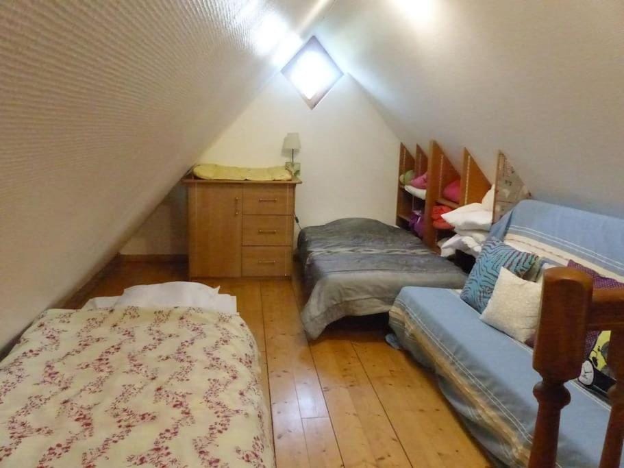Photo of the whole room