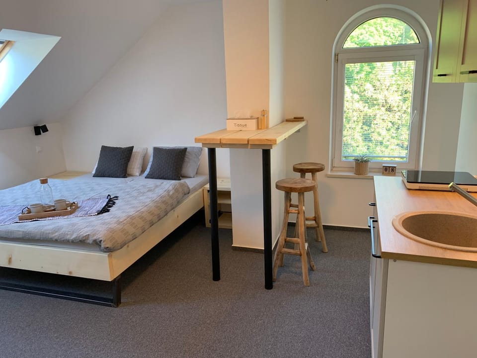 Bed, Kitchen or kitchenette, Photo of the whole room, Bedroom