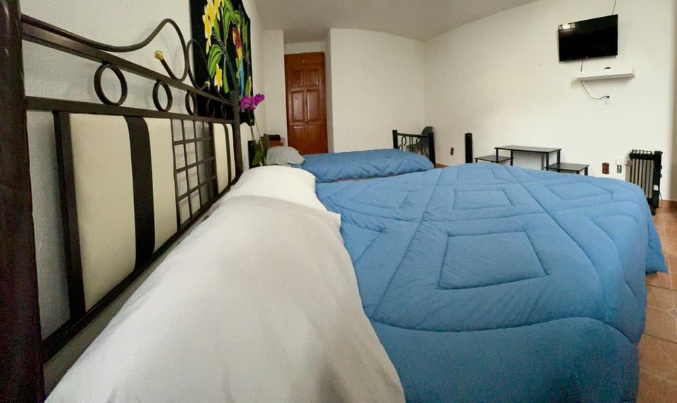 Pura Vida! Ciudad Hidalgo Bed and Breakfast in State of Michoacán