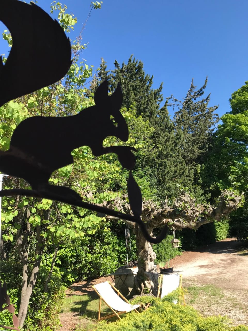 Spring, Day, Garden view