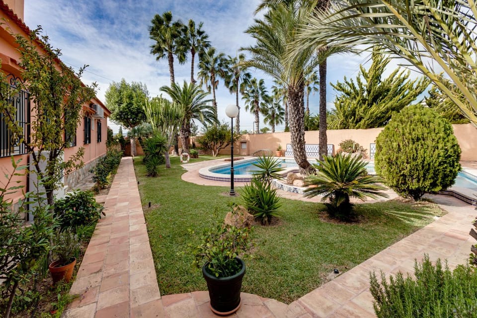 Garden