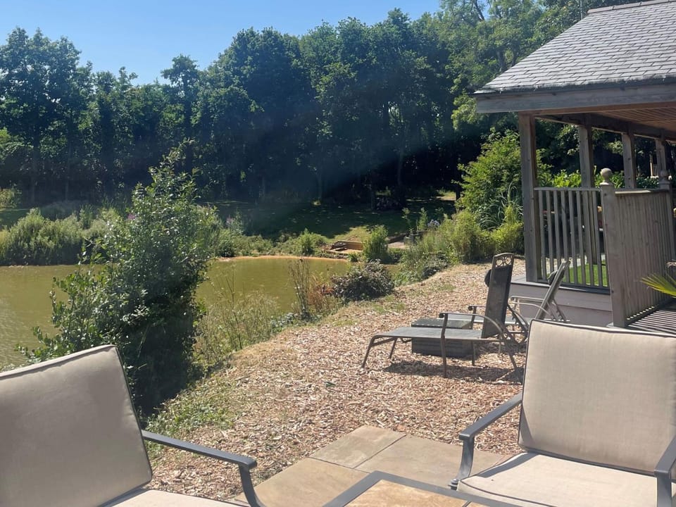 Garden, Seating area, Garden view