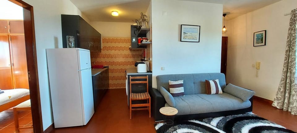 Kitchen or kitchenette, kitchen