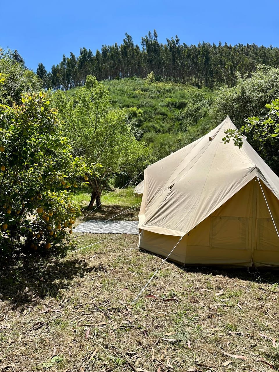Giant Canvas Rental Tent Agro-turismo Quinta da Fonte Luxury tent in Portugal