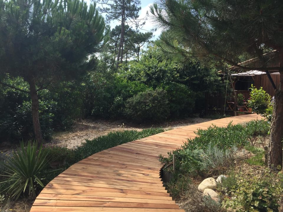 Garden, Garden view