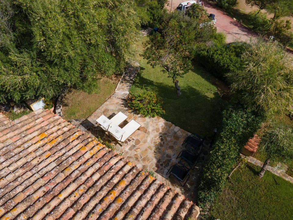 Neighbourhood, Natural landscape, Bird's eye view