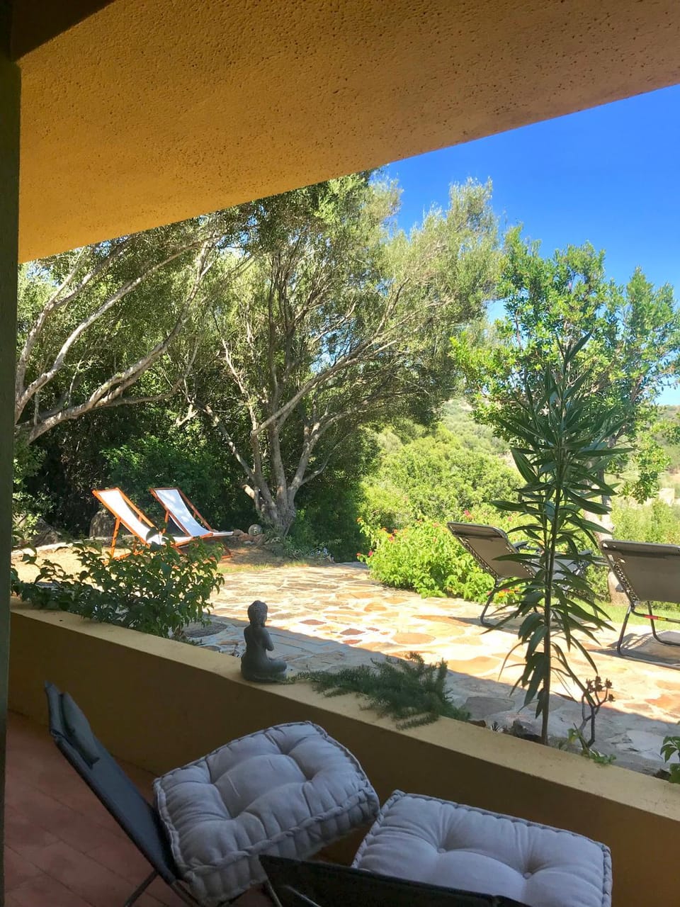 Garden view