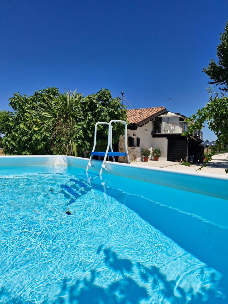 La Dolce Vita Bed and Breakfast in Marche