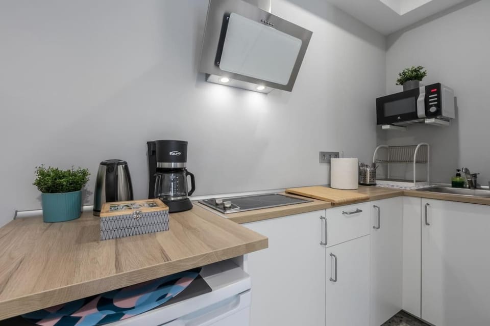 Coffee/tea facilities, Kitchen or kitchenette, minibar, stove, toaster