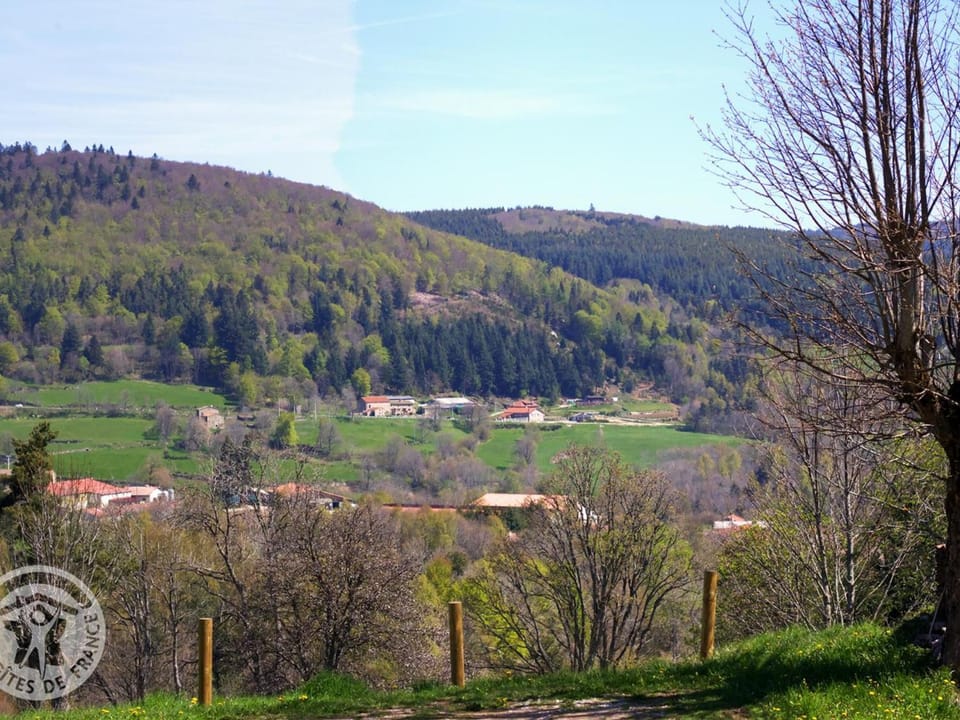 Gîte authentique avec cheminée, animaux admis et WiFi en bordure de forêt - FR-1-496-127 House in Auvergne-Rhône-Alpes