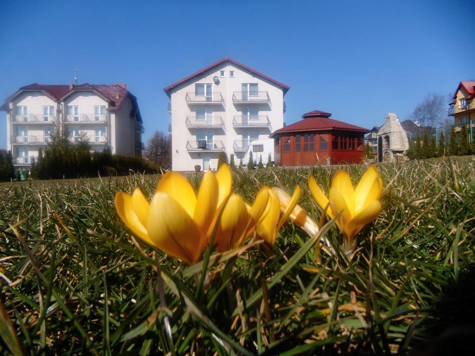 Property building, Garden