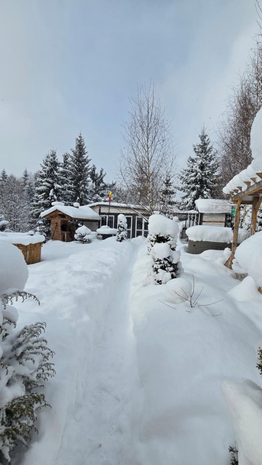 Cabana Căsaru Bed and Breakfast in Romania