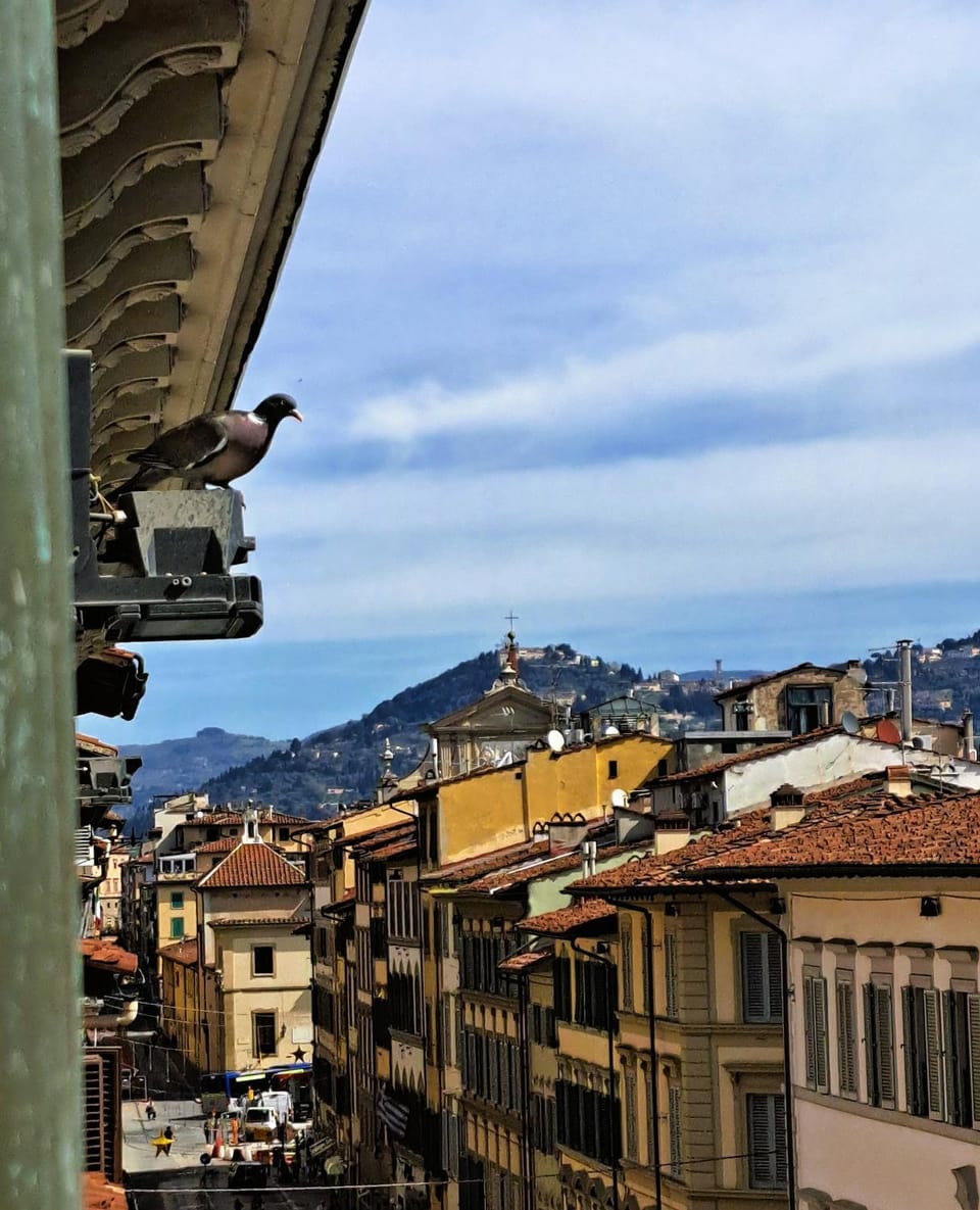 Day, City view