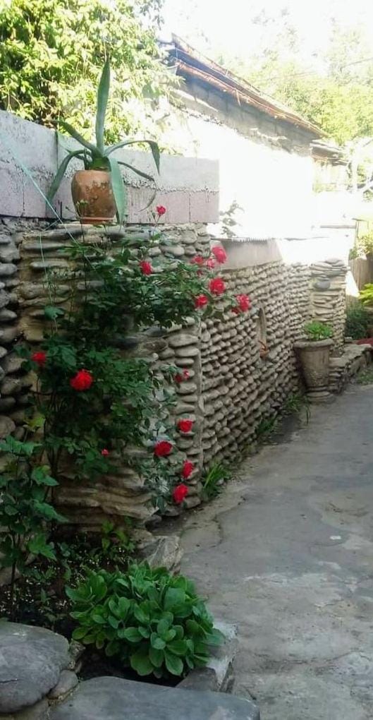 Rudolf Apartment in Georgia