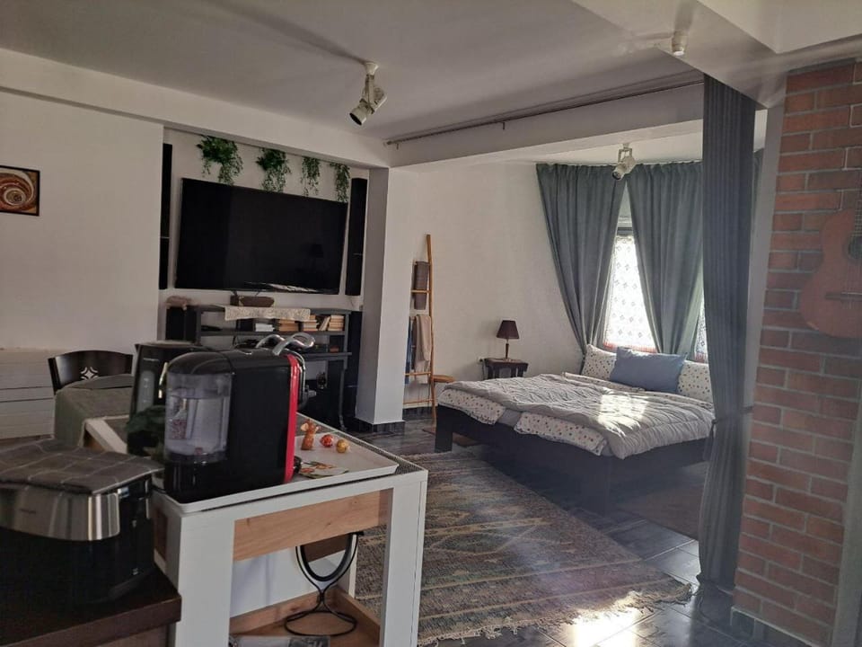 Bed, TV and multimedia, Kitchen or kitchenette, Photo of the whole room, Bedroom