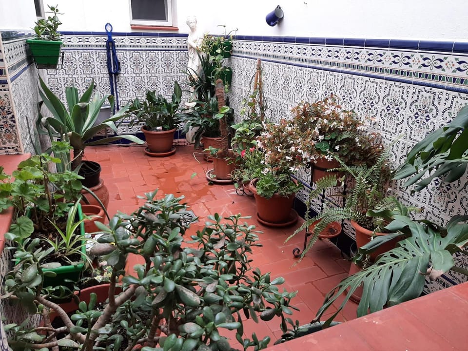 View (from property/room)