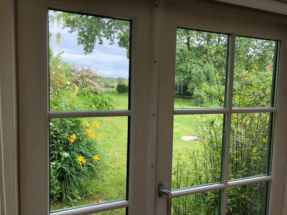 Garden view