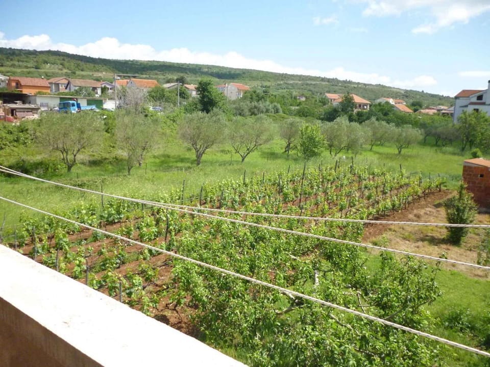 Summer, Garden, Balcony/Terrace