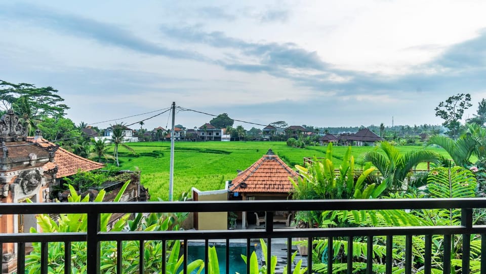 View (from property/room)