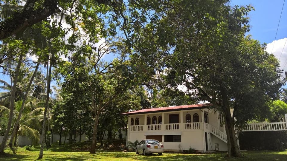 Property building, Natural landscape, Garden, Garden view