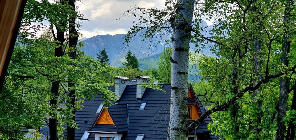 Neighbourhood, Mountain view, Area and facilities