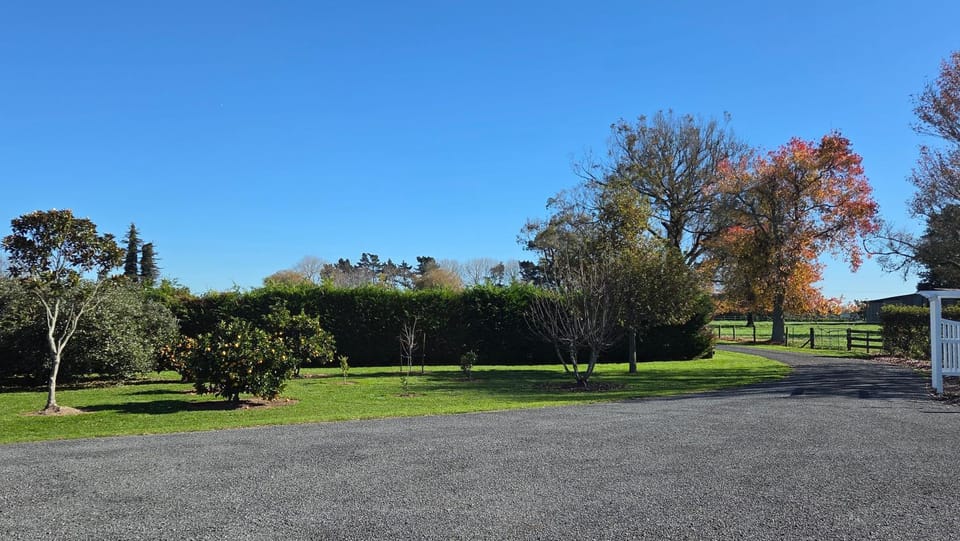 Garden view