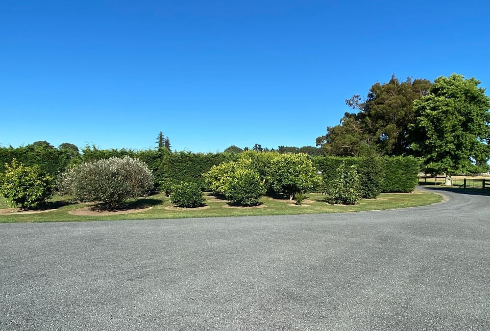 Garden view