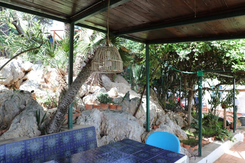 Garden, Balcony/Terrace