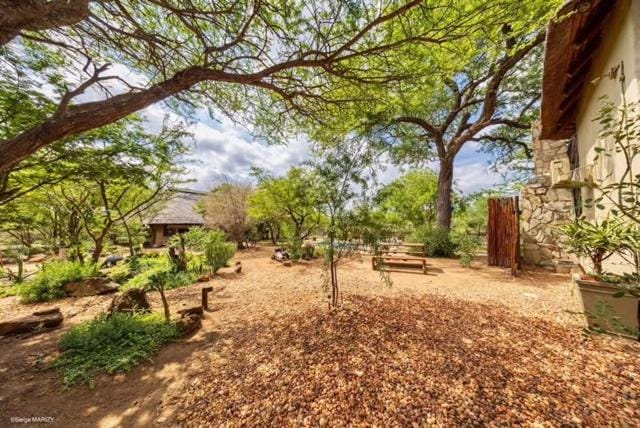 Niani villa Villa in South Africa