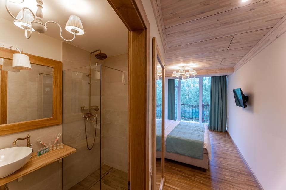 Shower, Bed, TV and multimedia, Photo of the whole room, Bedroom