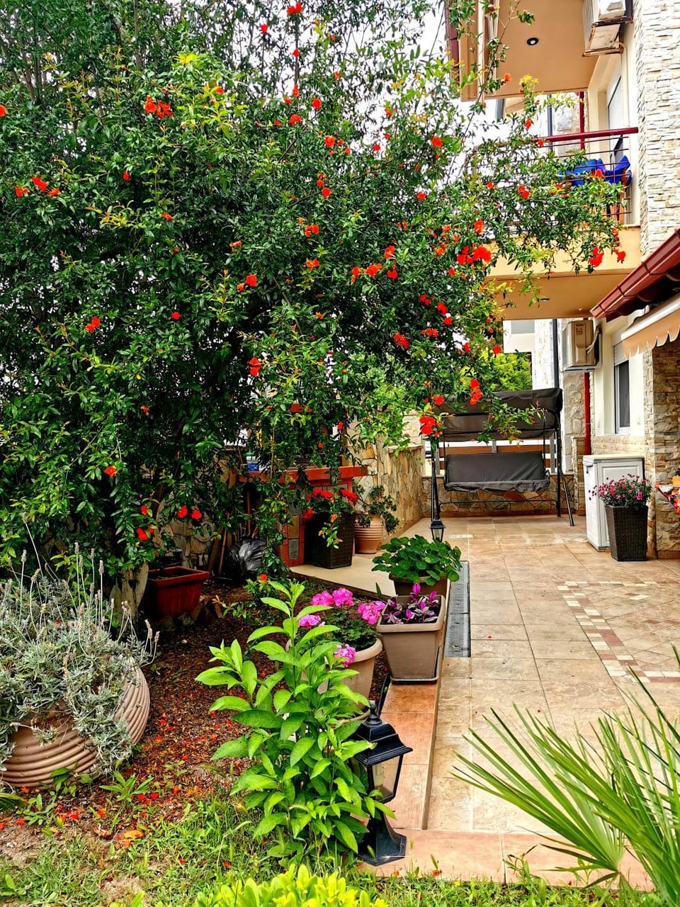 Patio, Garden