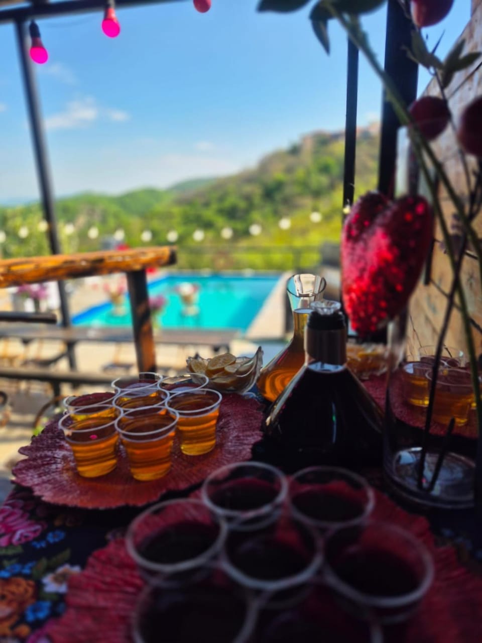 Villa Provance & Swimming Pool Villa in Georgia