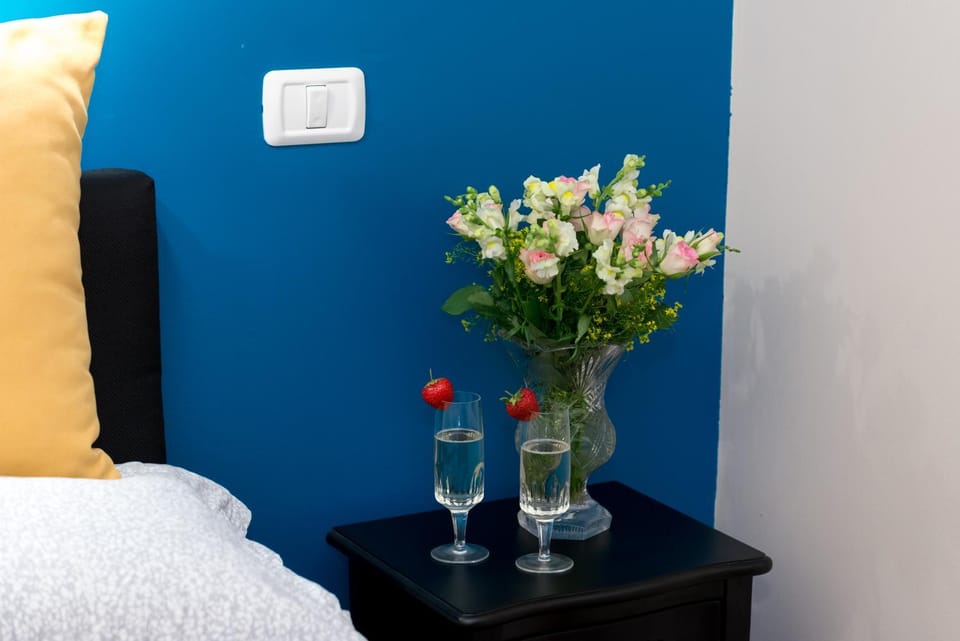 Boutique Miron 1 Unirii Apartment in Timisoara