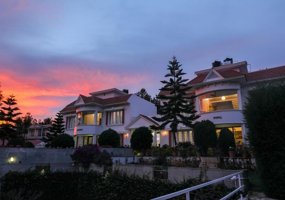 Property building, Sunrise