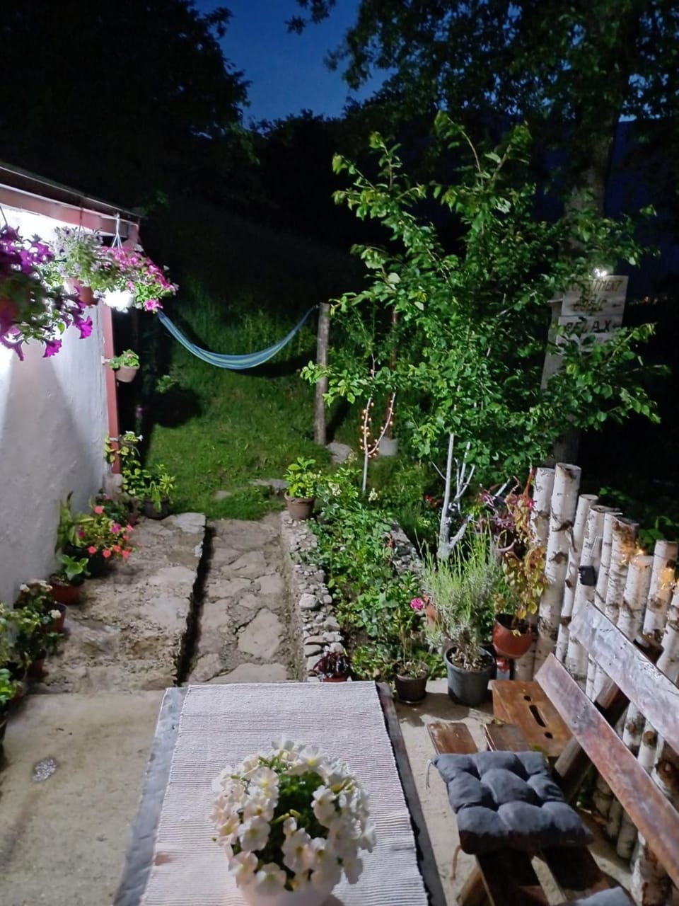 Night, Garden, Garden view