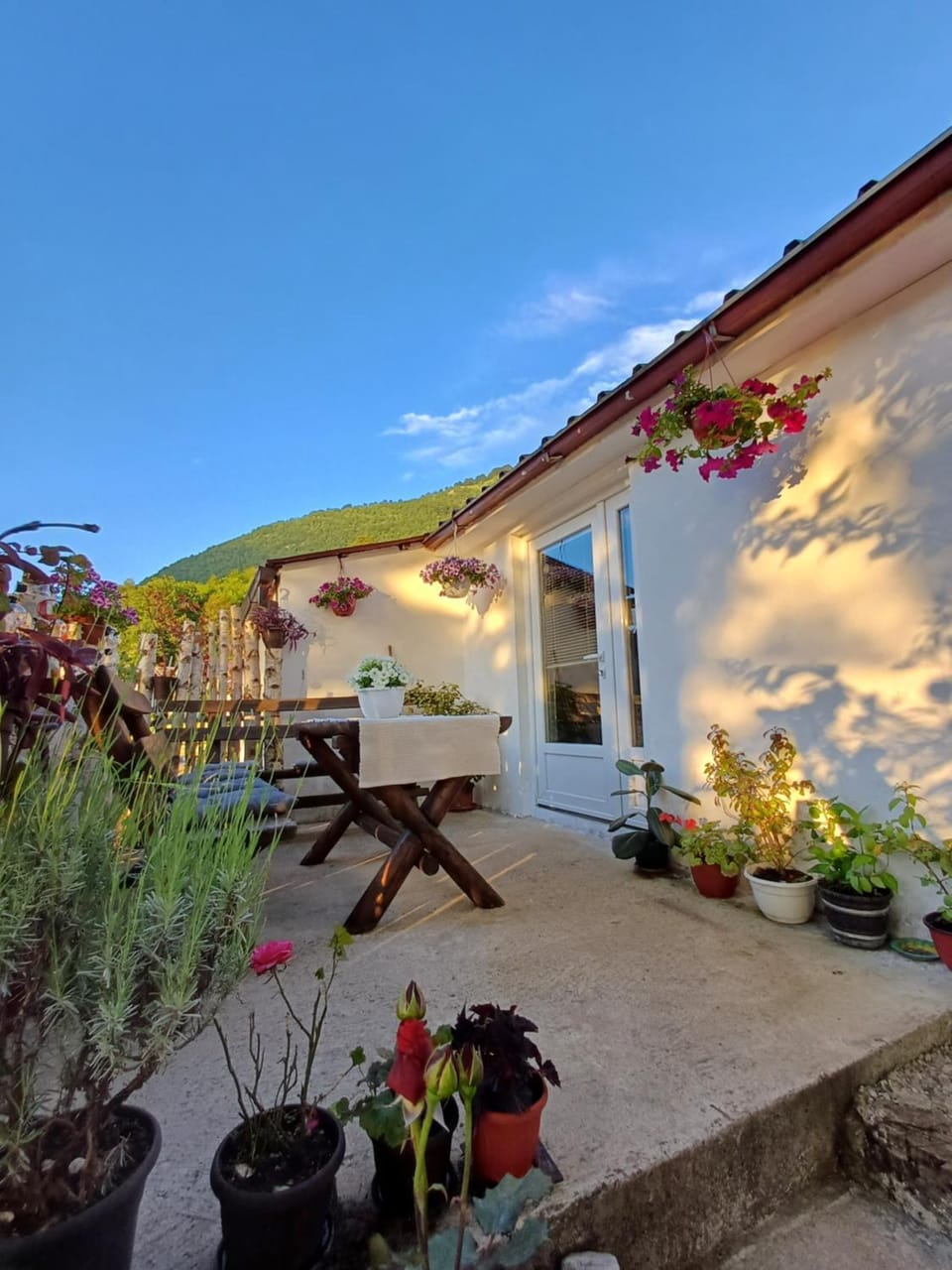 Property building, Garden view