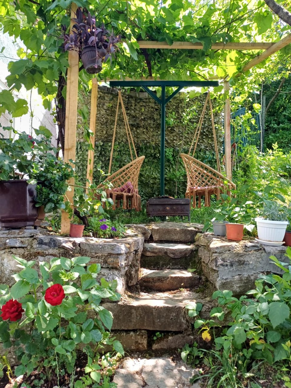 Garden view