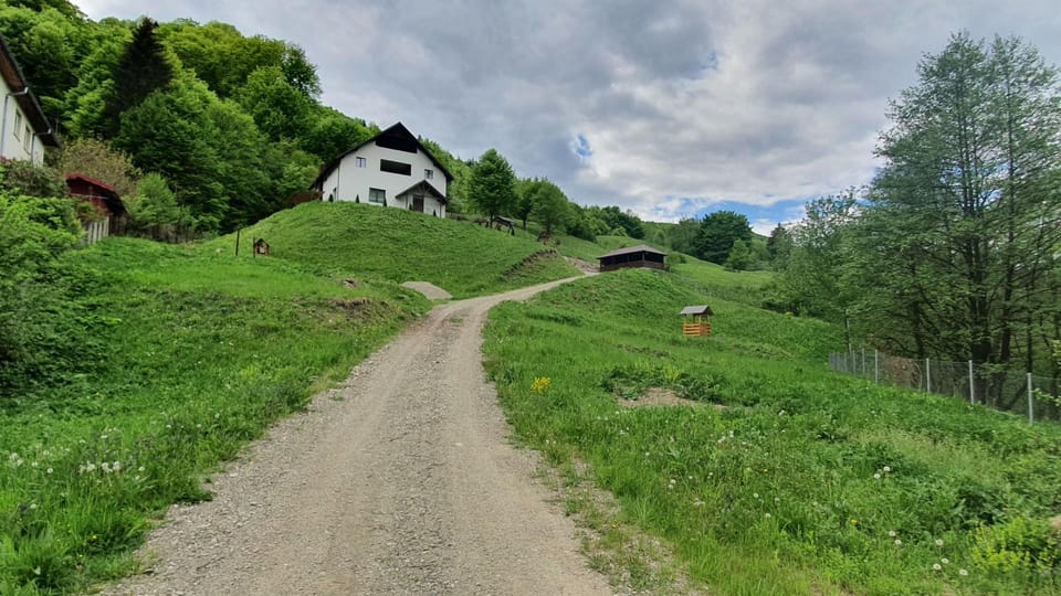 Zăvoarele Villa in Romania