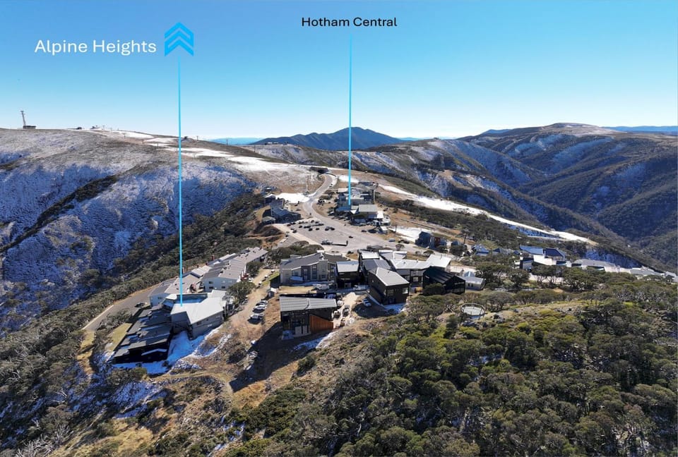 Alpine Cabin- Spa/Pool/Sauna Cabin in Hotham Heights