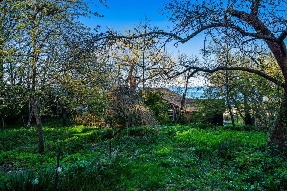 Rustic Rockport Cottage House in Rockport