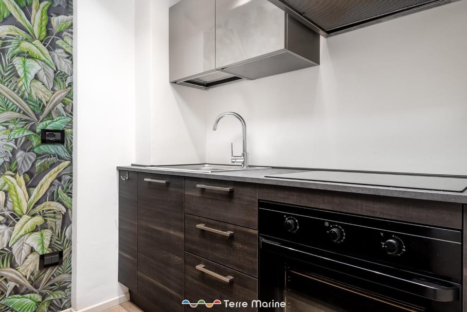 Suite 14, Terre Marine Apartment in Monterosso al Mare