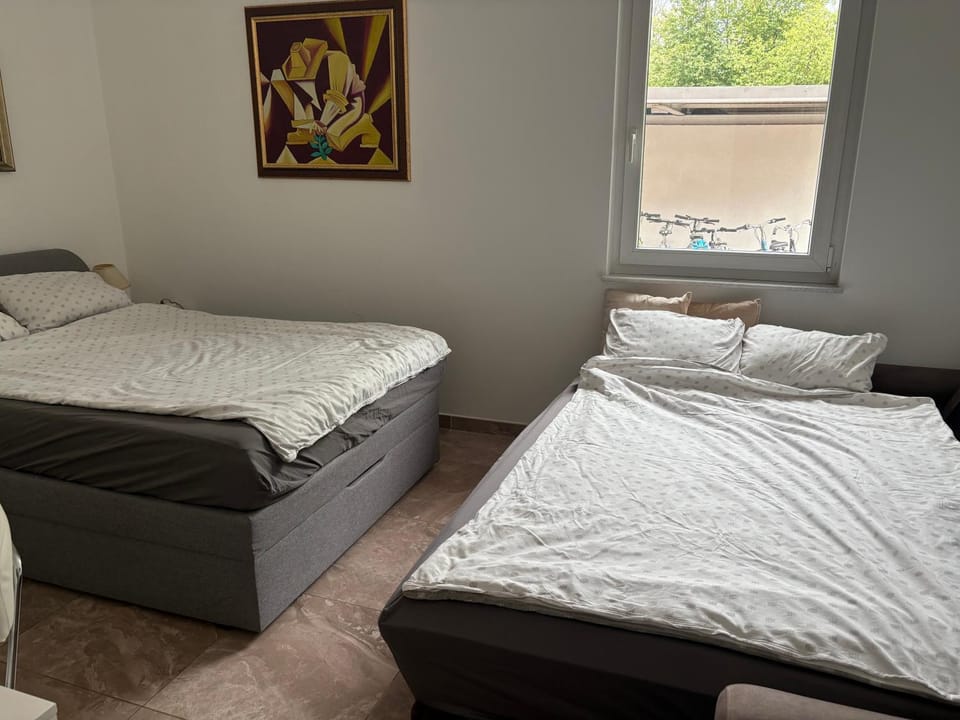 Homestay Free Park&Bikes Vacation rental in Ljubljana