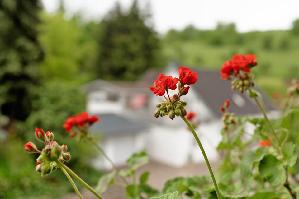 Ferienwohnung Serr Apartment in Ortenau