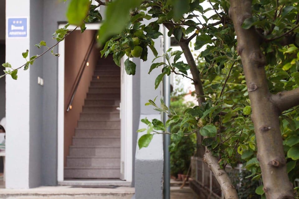 Apartman Marta Zadar Apartment in Zadar