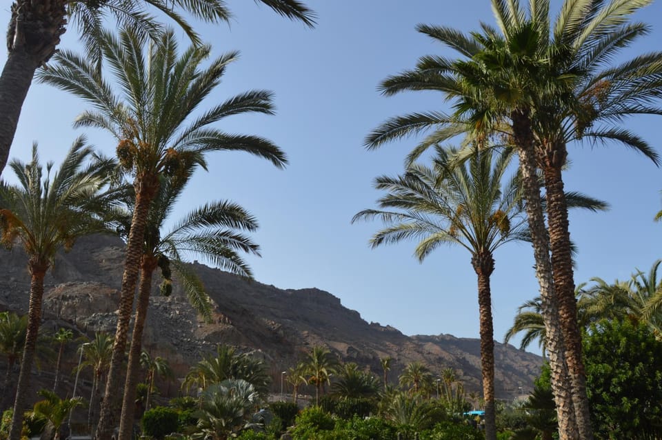 Natural landscape