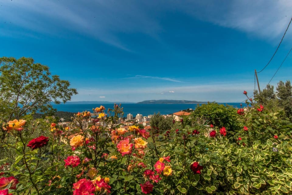 Natural landscape, Sea view