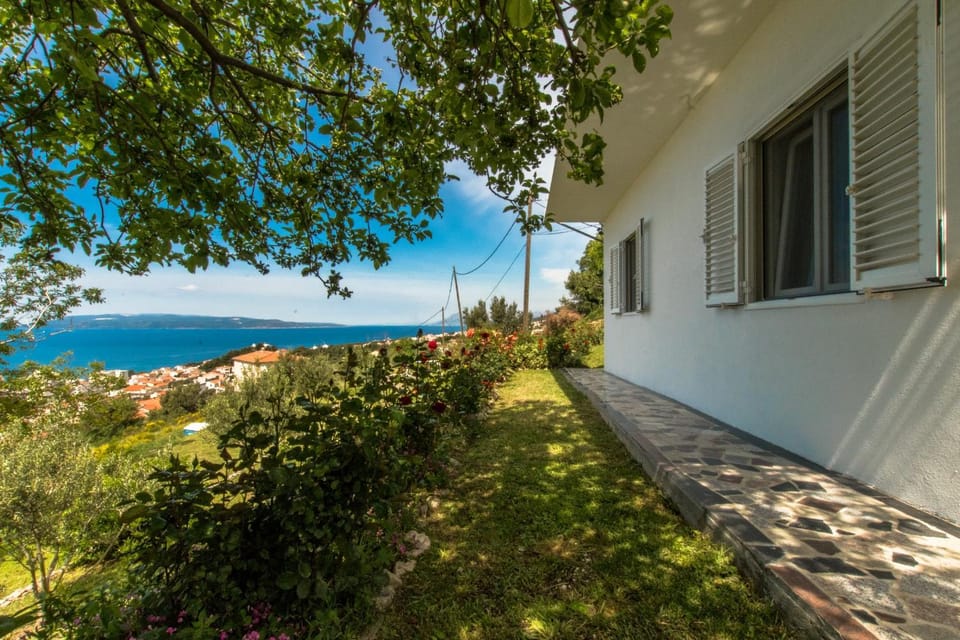 Patio, Facade/entrance, Garden